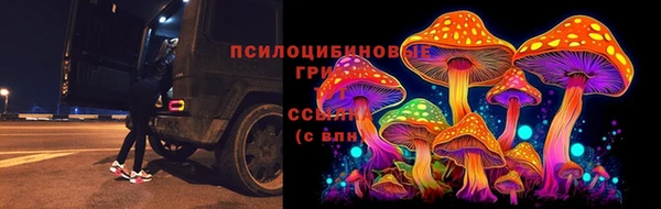 синтетический гашиш Бикин