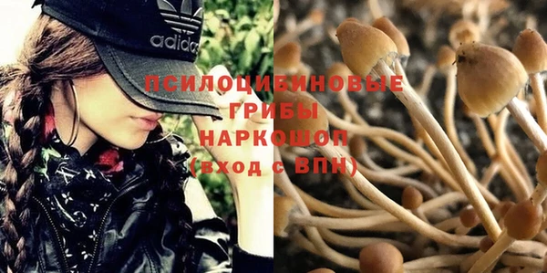 шишки Алексеевка