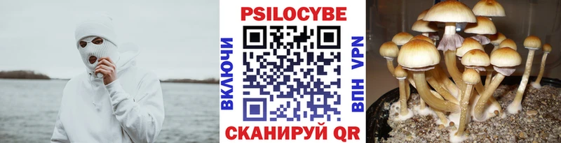 Галлюциногенные грибы GOLDEN TEACHER  Жигулёвск 